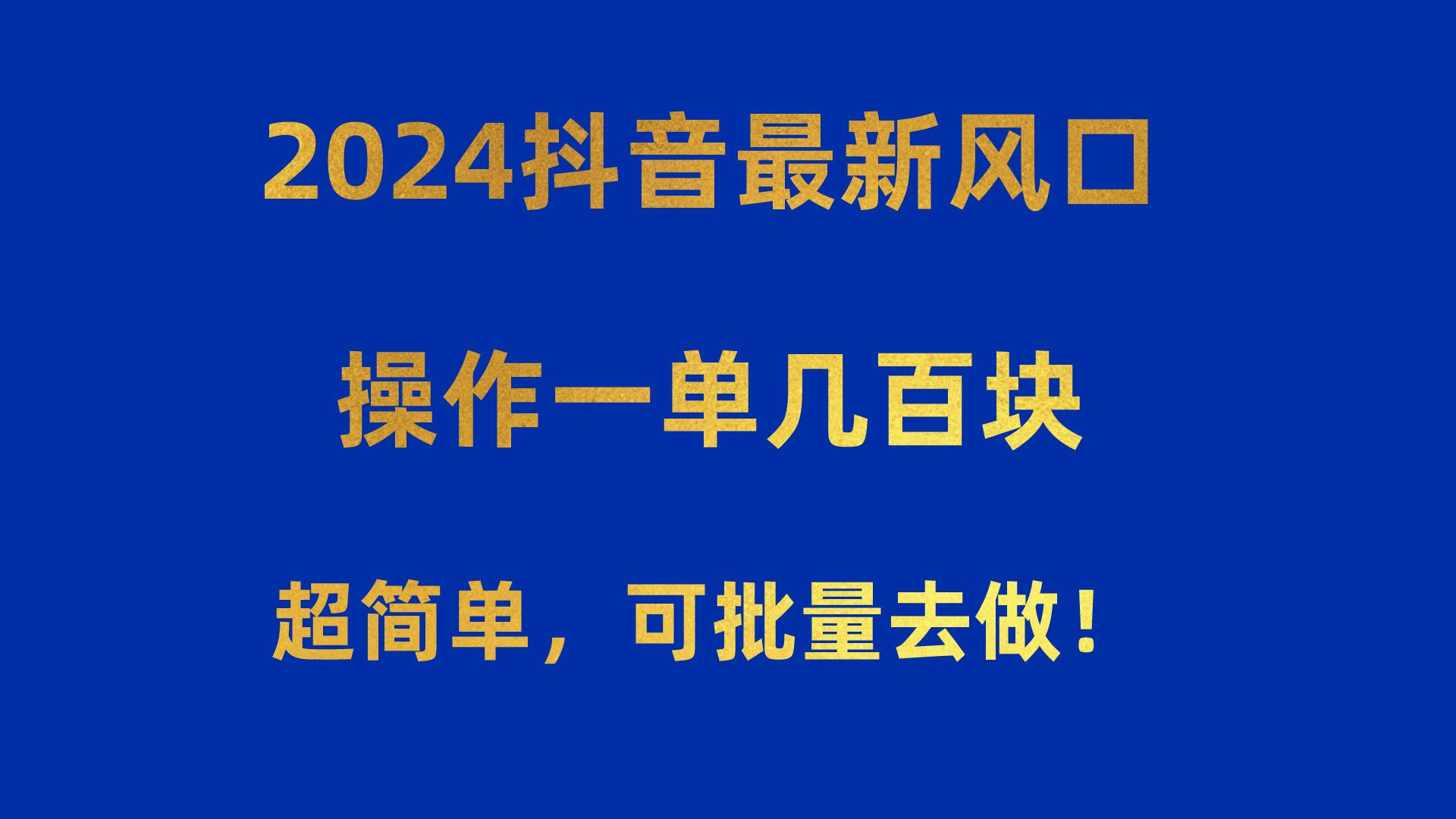 2024抖音最新风口！操作一单几百块！超简单，可批量去做！！！-巅峰资源网