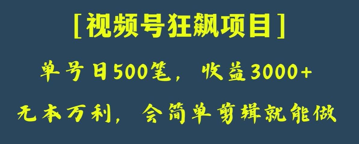 日收款500笔，纯利润3000+，视频号狂飙项目，会简单剪辑就能做【揭秘】-巅峰资源网