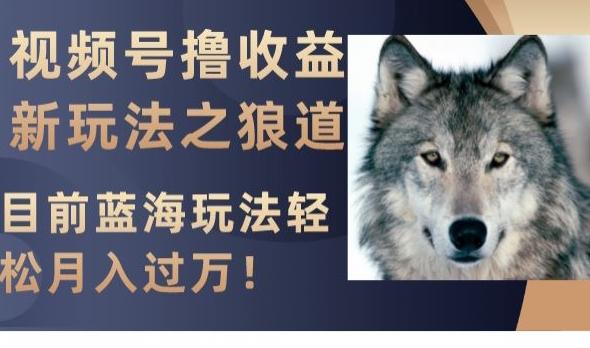 视频号撸收益新玩法之狼道，目前蓝海玩法，轻松月入过万【揭秘】-巅峰资源网