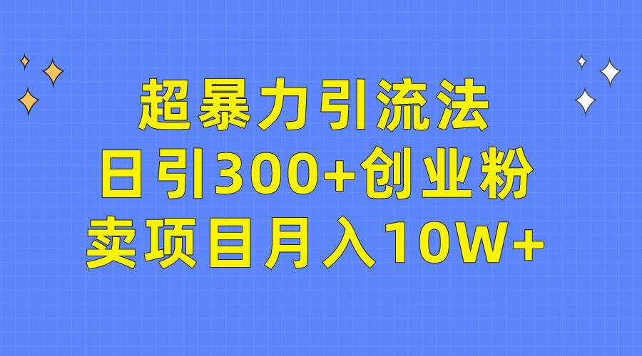 (9954期)超暴力引流法，日引300+创业粉，卖项目月入10W+-巅峰资源网