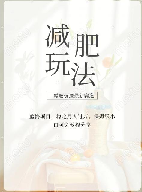 减肥流量主新玩法，轻松月入1W，可矩阵操作收入翻倍-巅峰资源网