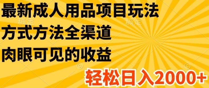 最新成人用品项目玩法，方式方法全渠道，轻松日入2K+【揭秘】-巅峰资源网