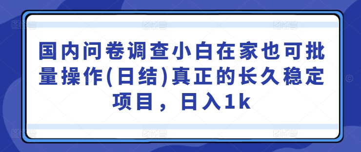 国内问卷调查小白在家也可批量操作(日结)真正的长久稳定项目，日入1k【揭秘】-巅峰资源网