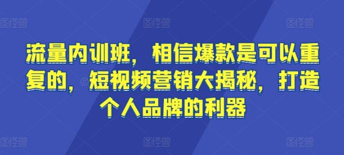 流量内训班，相信爆款是可以重复的，短视频营销大揭秘，打造个人品牌的利器-巅峰资源网