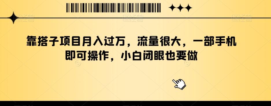 靠搭子项目月入过万，流量很大，一部手机即可操作，小白闭眼也要做-巅峰资源网