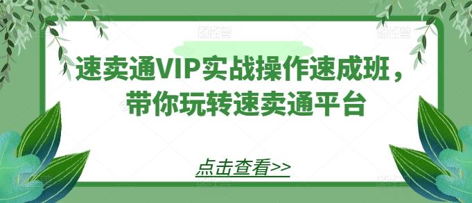 速卖通VIP实战操作速成班，带你玩转速卖通平台-巅峰资源网