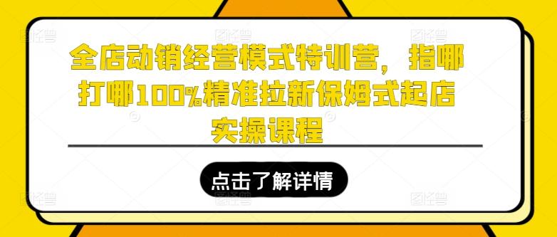 全店动销经营模式特训营，指哪打哪100%精准拉新保姆式起店实操课程-巅峰资源网
