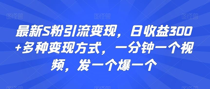 最新S粉引流变现，日收益300+多种变现方式，一分钟一个视频，发一个爆一个【揭秘】-巅峰资源网