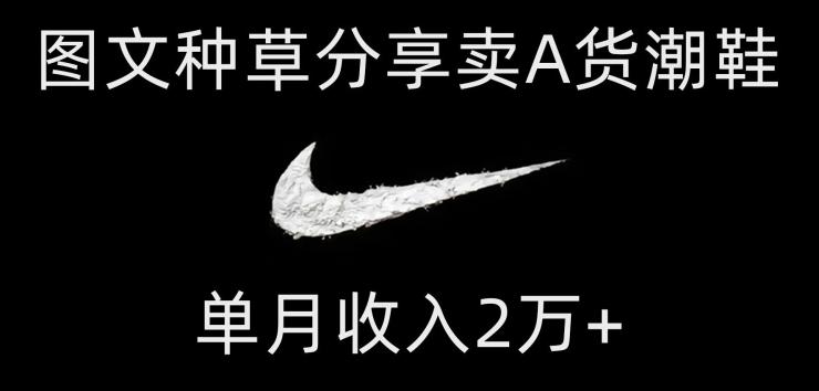靠图文种草分享卖A货潮鞋，每天一小时，单月收入2万+【揭秘】-巅峰资源网