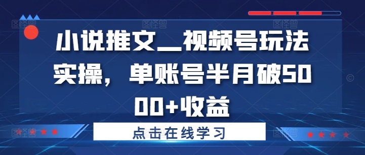 小说推文—视频号玩法实操，单账号半月破5000+收益-巅峰资源网
