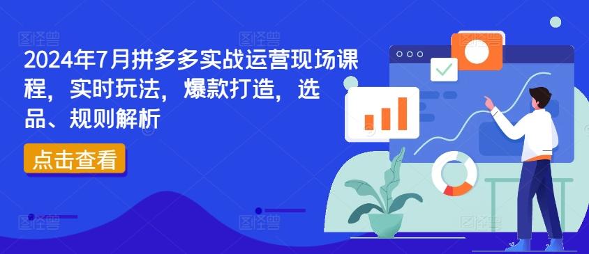 2024年7月拼多多实战运营现场课程，实时玩法，爆款打造，选品、规则解析-巅峰资源网