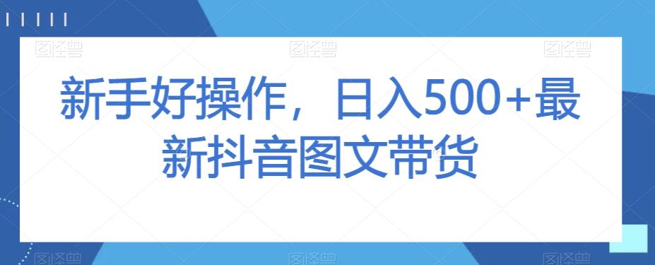 新手好操作，日入500+最新抖音图文带货【揭秘】-巅峰资源网