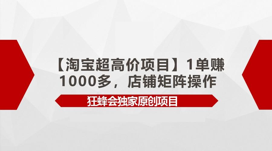 【淘宝超高价项目】1单赚1000多，店铺矩阵操作-巅峰资源网