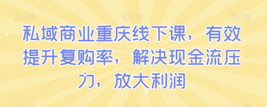 私域商业重庆线下课，有效提升复购率，解决现金流压力，放大利润-巅峰资源网