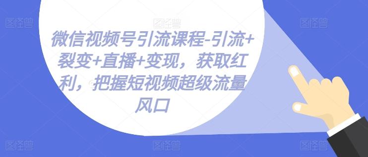 微信视频号引流课程-引流+裂变+直播+变现，获取红利，把握短视频超级流量风口-巅峰资源网