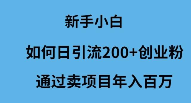 (9668期)新手小白如何日引流200+创业粉通过卖项目年入百万-巅峰资源网