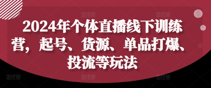 2024年个体直播训练营，起号、货源、单品打爆、投流等玩法-巅峰资源网
