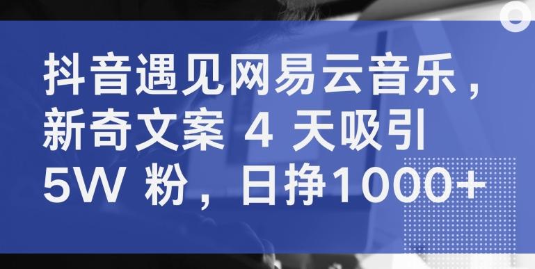 抖音遇见网易云音乐，新奇文案 4 天吸引 5W 粉，日挣1000+【揭秘】-巅峰资源网