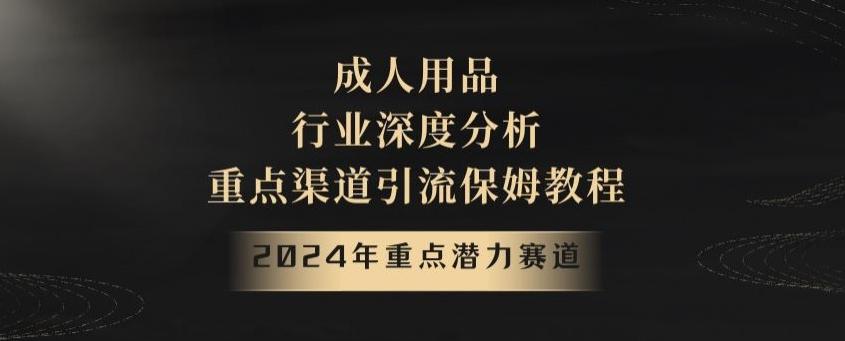 2024年重点潜力赛道，成人用品行业深度分析，重点渠道引流保姆教程【揭秘】-巅峰资源网
