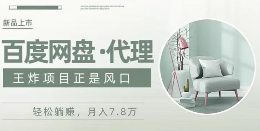 度盘代理，月入7w保姆级全方位教程-巅峰资源网