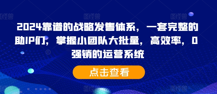 2024靠谱的战略发售体系，一套完整的助IP们，掌握小团队大批量，高效率，0 强销的运营系统-巅峰资源网