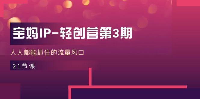 宝妈IP-轻创营第3期，人人都能抓住的流量风口(21节课-巅峰资源网