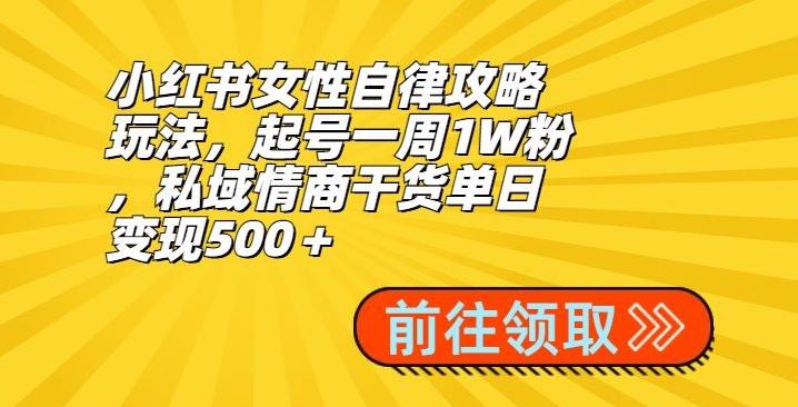 小红书女性自律攻略玩法，起号一周1W粉，私域情商干货单日变现500＋-巅峰资源网