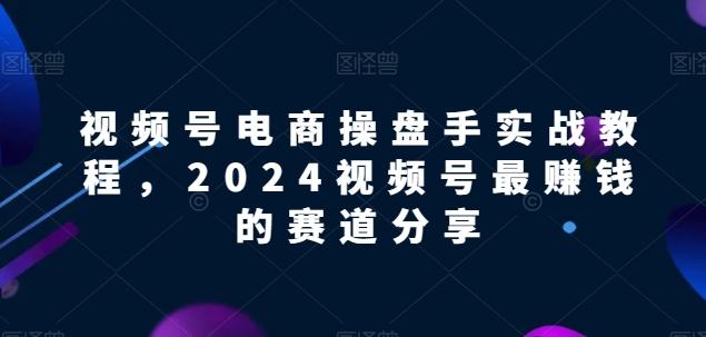 视频号电商实战教程，2024视频号最赚钱的赛道分享-巅峰资源网