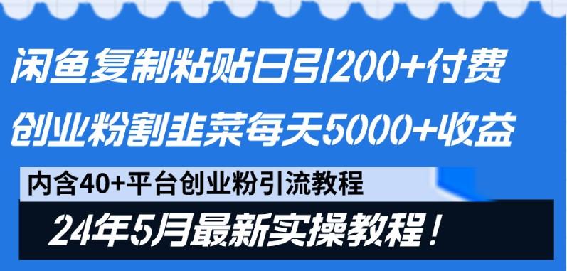 闲鱼复制粘贴日引200+付费创业粉，24年5月最新方法！割韭菜日稳定5000+收益-巅峰资源网