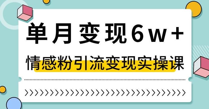 单月变现6W+，抖音情感粉引流变现实操课，小白可做，轻松上手，独家赛道【揭秘】-巅峰资源网