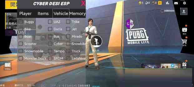 PUBG轻量老外裸奔绘制+自瞄 支持ROOT和框架 里面有全局离线-巅峰资源网