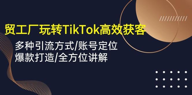 外贸工厂玩转TikTok高效获客，多种引流方式/账号定位/爆款打造/全方位讲解-巅峰资源网