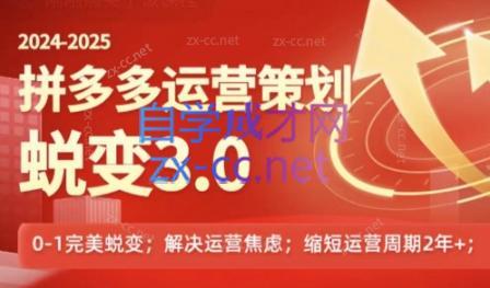 大力老师·2024拼多多运营策略蜕变3.0-巅峰资源网