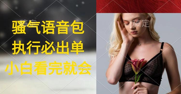 (9589期)执行就出单，日入2000+，超火骚气语音包，小白看完课程就能马上实操-巅峰资源网