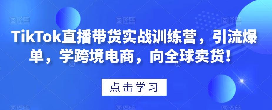 TikTok直播带货实战训练营，引流爆单，学跨境电商，向全球卖货！-巅峰资源网