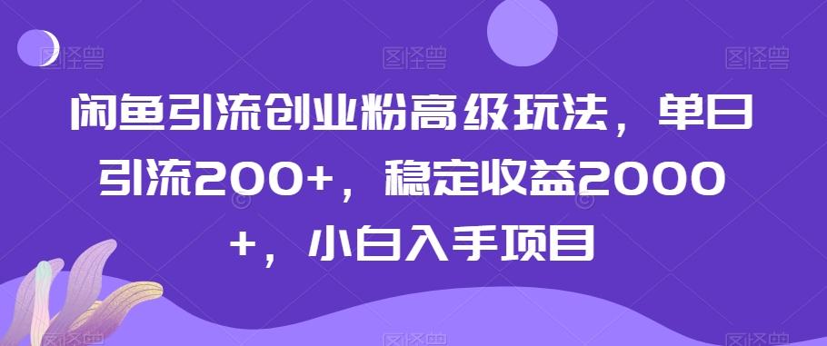 闲鱼引流创业粉高级玩法，单日引流200+，稳定收益2000+，小白入手项目-巅峰资源网