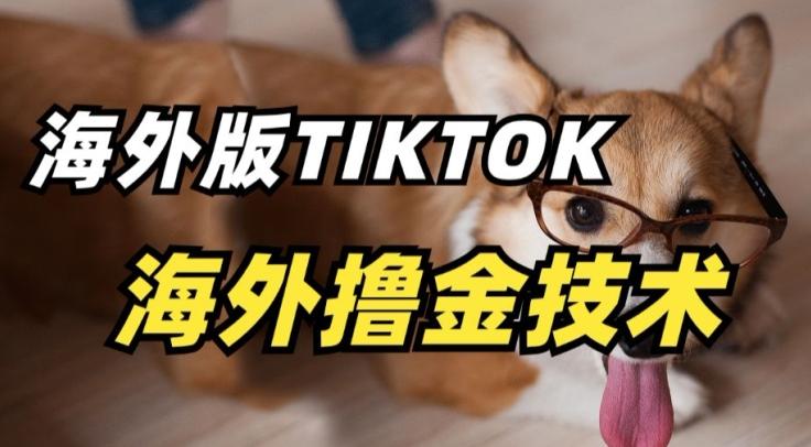抖音海外版tiktok撸金技术，这个风口行业，赚钱真的不难【揭秘】-巅峰资源网
