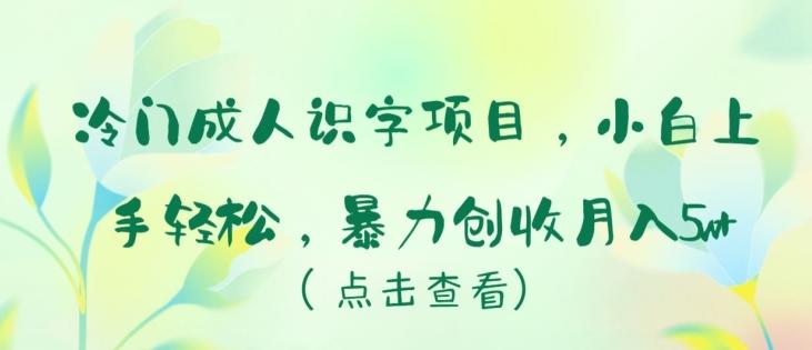 冷门成人识字项目，小白上手轻松，暴力创收月入5w+【揭秘】-巅峰资源网