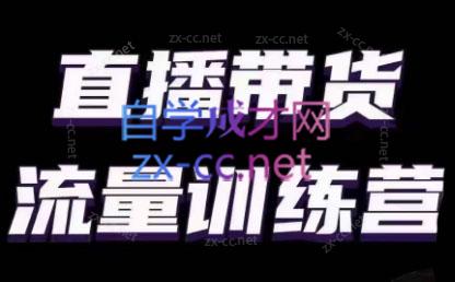 婉婉·直播带货课程系列合集(更新8月)-巅峰资源网