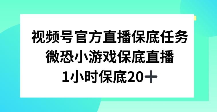 视频号直播任务，微恐小游戏，1小时20+【揭秘】-巅峰资源网