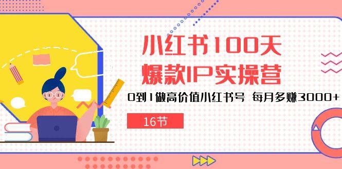 小红书100天-爆款IP实操营，0到1做高价值小红书号 每月多赚3000+(16节-巅峰资源网