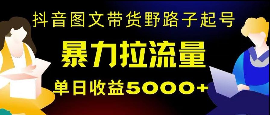 抖音图文带货暴力起号，单日收益5000+，野路子玩法，简单易上手，一部手机即可【揭秘】-巅峰资源网