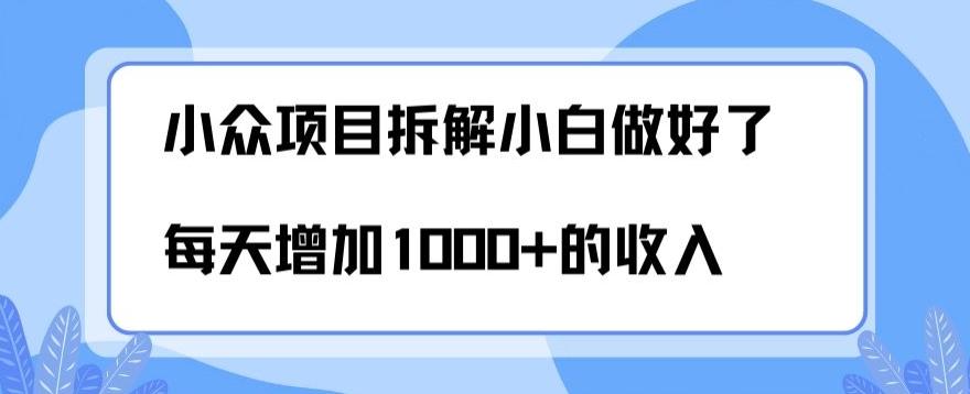 小众项目拆解，小白做好了每天可增加1000多的收入-巅峰资源网