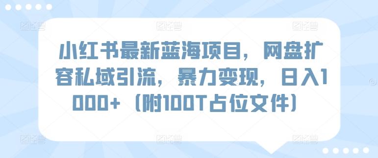 小红书最新蓝海项目，网盘扩容私域引流，暴力变现，日入1000+(附100T占位文件)【揭秘】-巅峰资源网