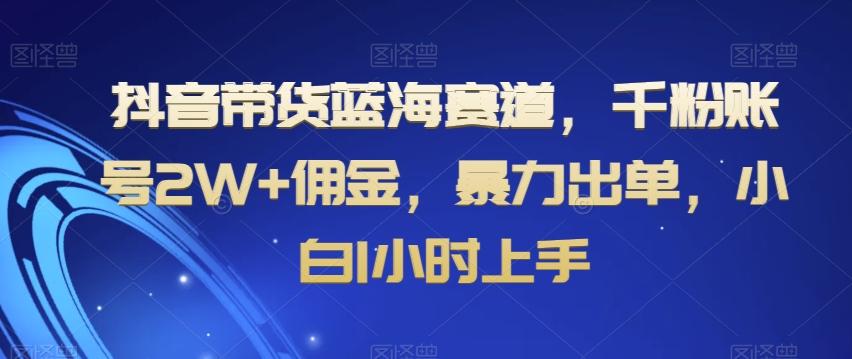 抖音带货蓝海赛道，千粉账号2W+佣金，暴力出单，小白1小时上手【揭秘】-巅峰资源网