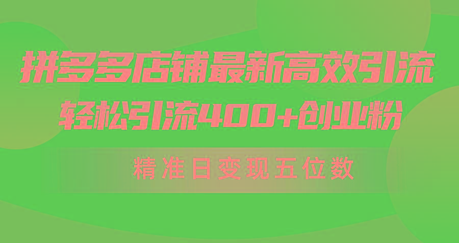 (10041期)拼多多店铺最新高效引流术，轻松引流400+创业粉，精准日变现五位数！-巅峰资源网