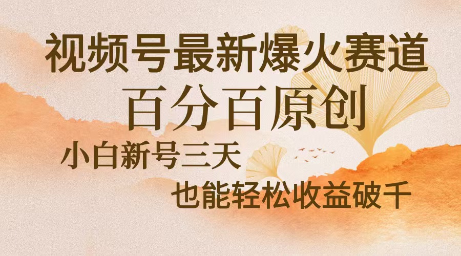 视频号最新爆火赛道，中老年粉深信不疑，百分百原创，新号三天收益轻松…-巅峰资源网