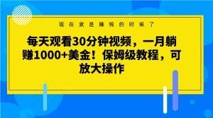 每天观看30分钟视频，一月躺赚1000+美金！保姆级教程，可放大操作【揭秘】-巅峰资源网