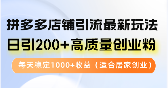 拼多多店铺引流最新玩法，日引200+高质量创业粉，每天稳定1000+收益(...-巅峰资源网
