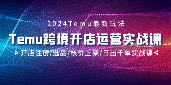 2024Temu跨境开店运营实战课，开店注册/选品/核价上架/日出千单实战课-巅峰资源网